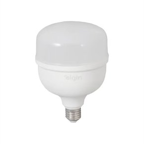 LAMPADA LED 65W ELGIN 6500K