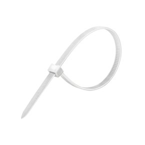 ABRACADEIRA NYLON BCA   4,8MM X 280MM C/100 PC