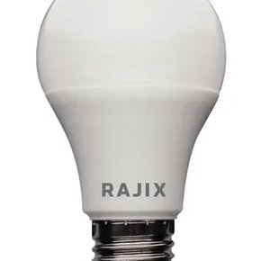 LAMPADA LED RAJIX 6500K